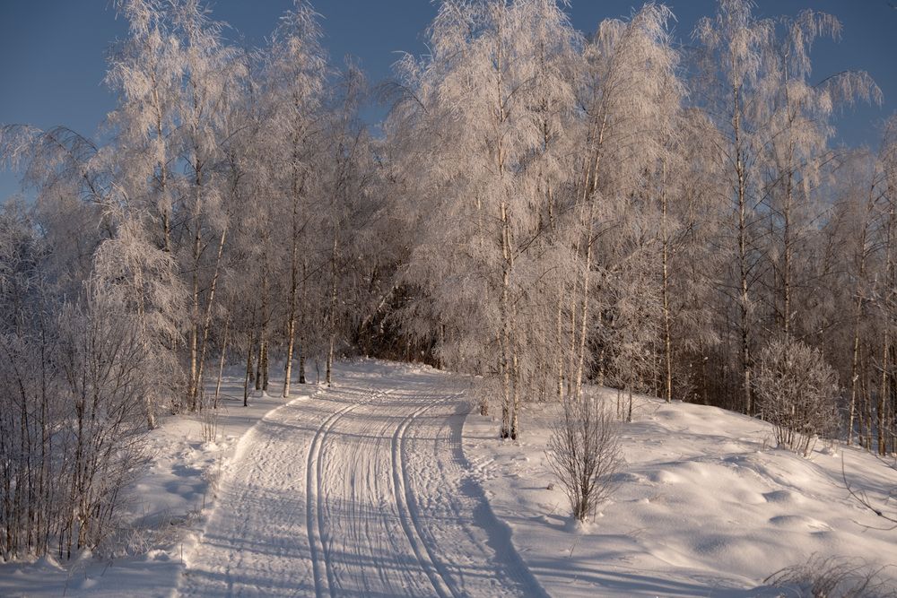 Photograph by Лариса Андреева