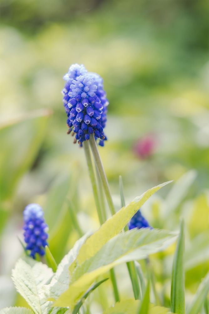 Photograph by Михаил Мак