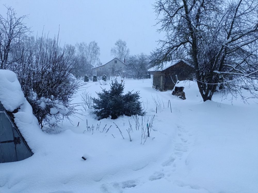 Photo #13196686