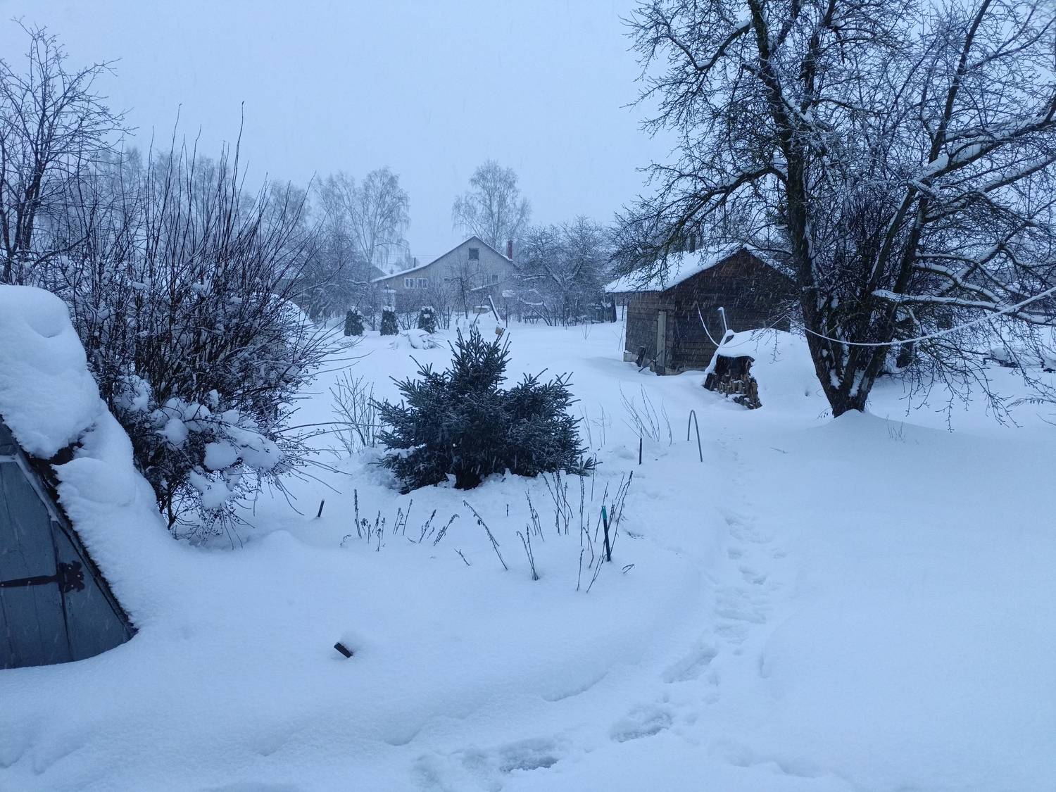 Photo #13196686