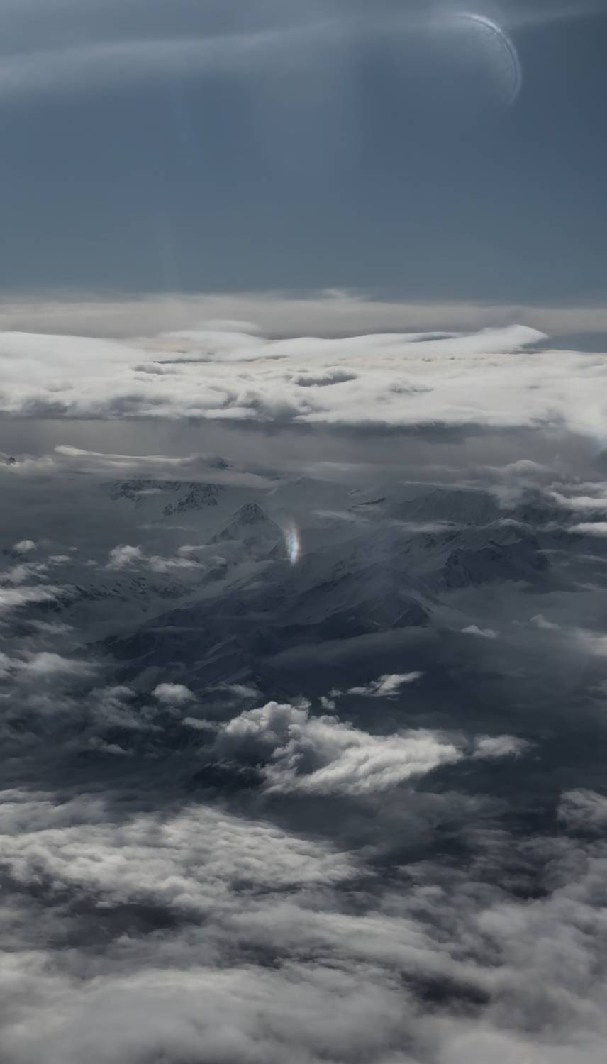 Фотография #13196692