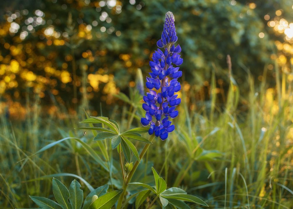 Photograph by Сергей Дишук
