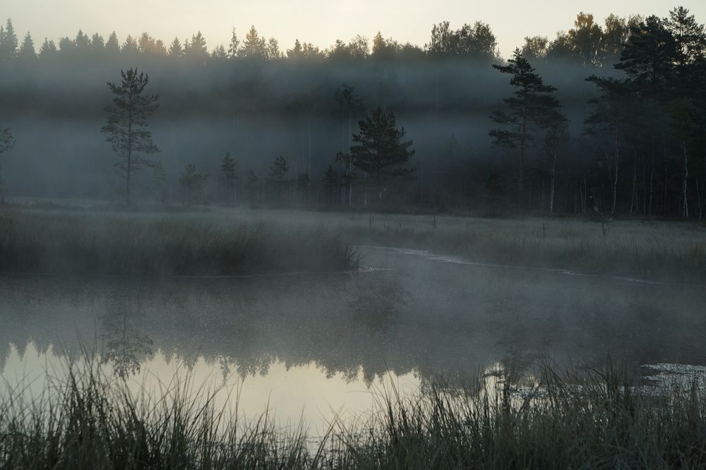 Photograph by Лена Максимкина