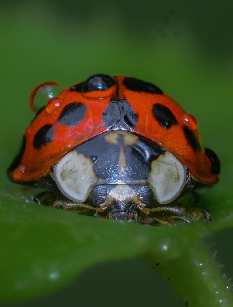 Photograph by Kasun Wickramasinghe