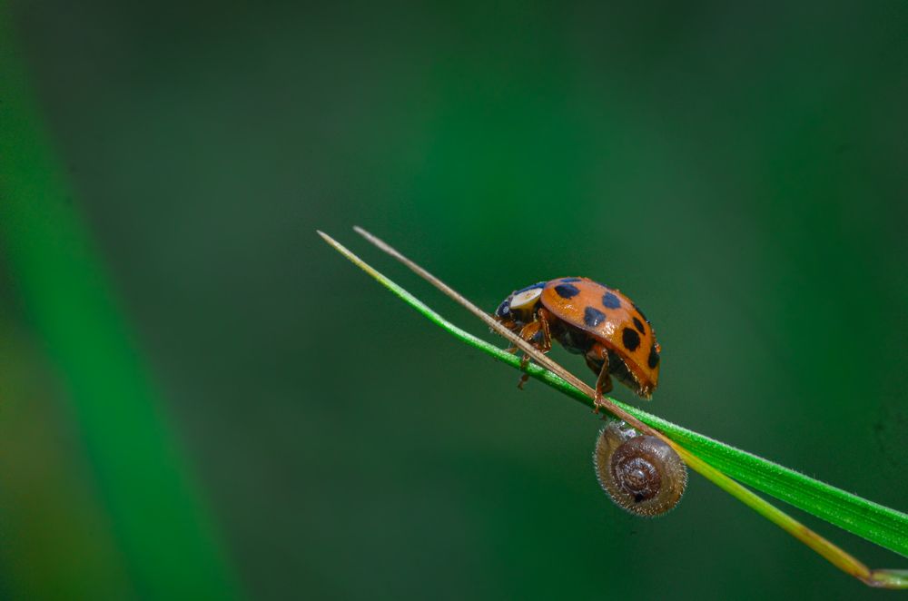 Photograph by Kasun Wickramasinghe