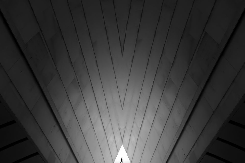 Фотография автора namo