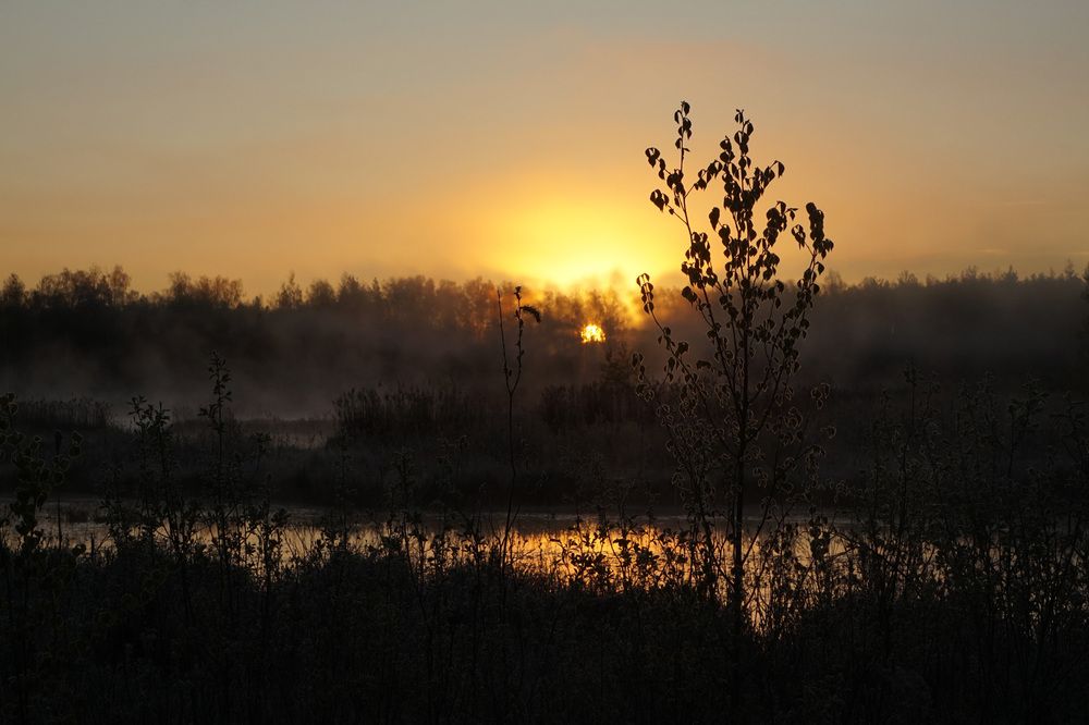 Photograph by Лена Максимкина