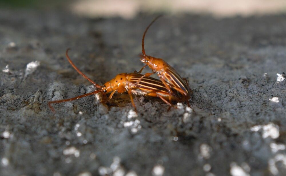 Фотография автора Camilo Martinez