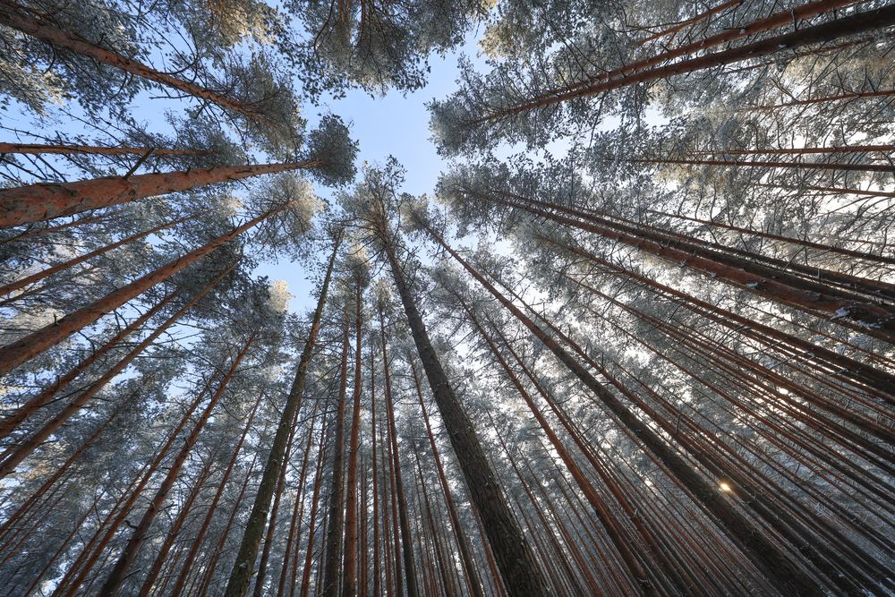 Photograph by KateAkh