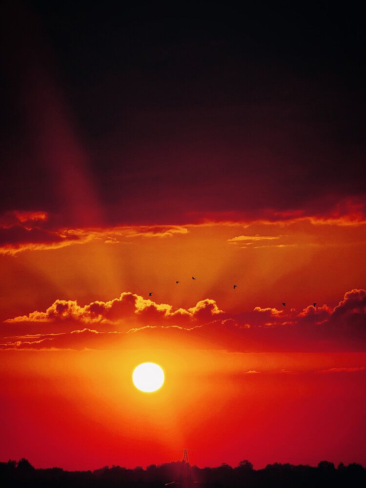 Photograph by Алена Адрианова