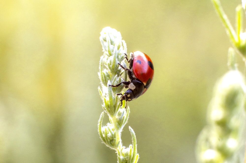 Photograph by Алексей Сиваков