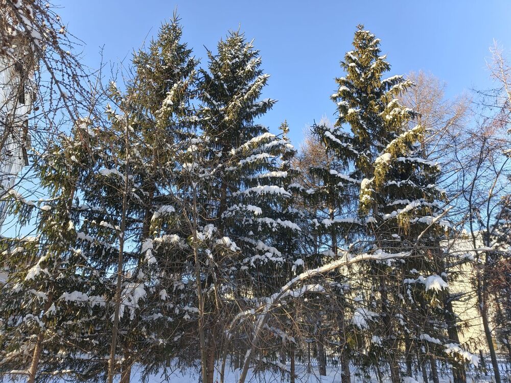 Photograph by Лида