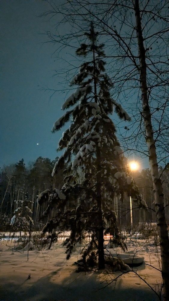Photograph by Наталья Рассохина