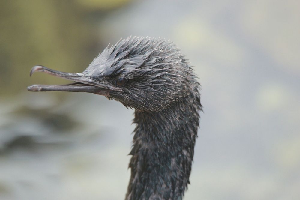 Photograph by Андрей Головин