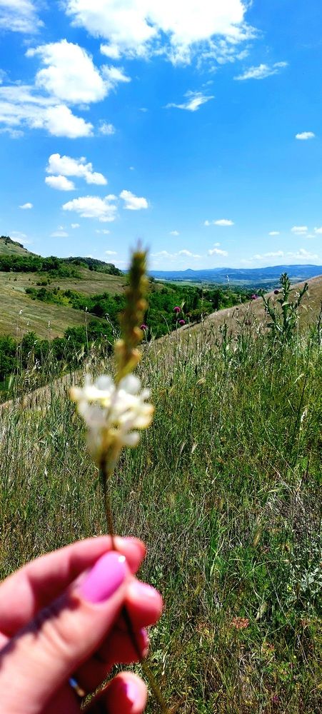 Photograph by Dafinka Sokoloska