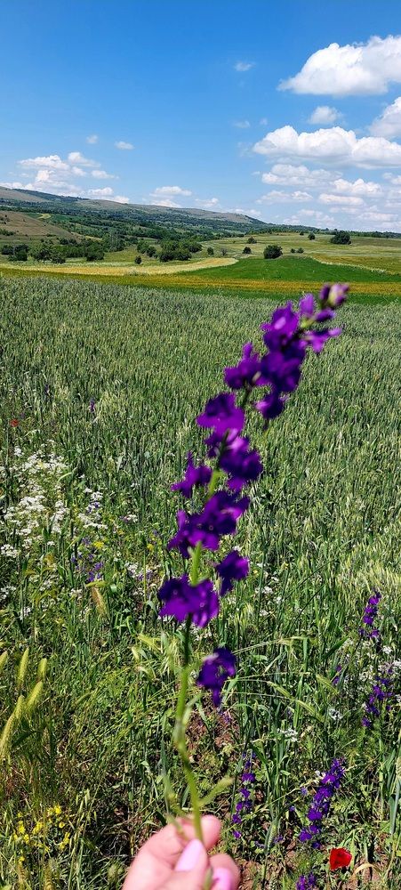 Photograph by Dafinka Sokoloska