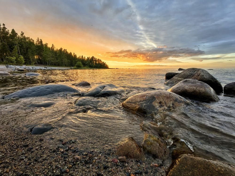 Summer sunset