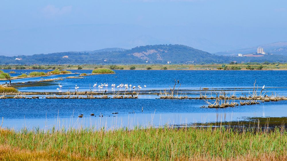 Photograph by Анастасия Васина