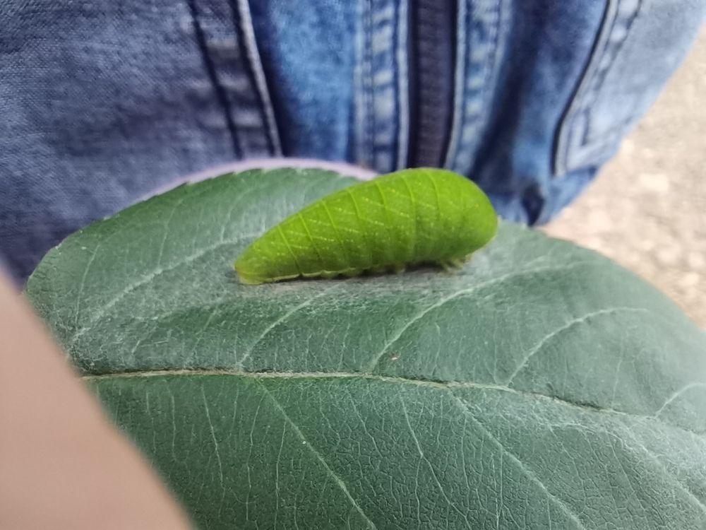 Photograph by Калинина Анастасия