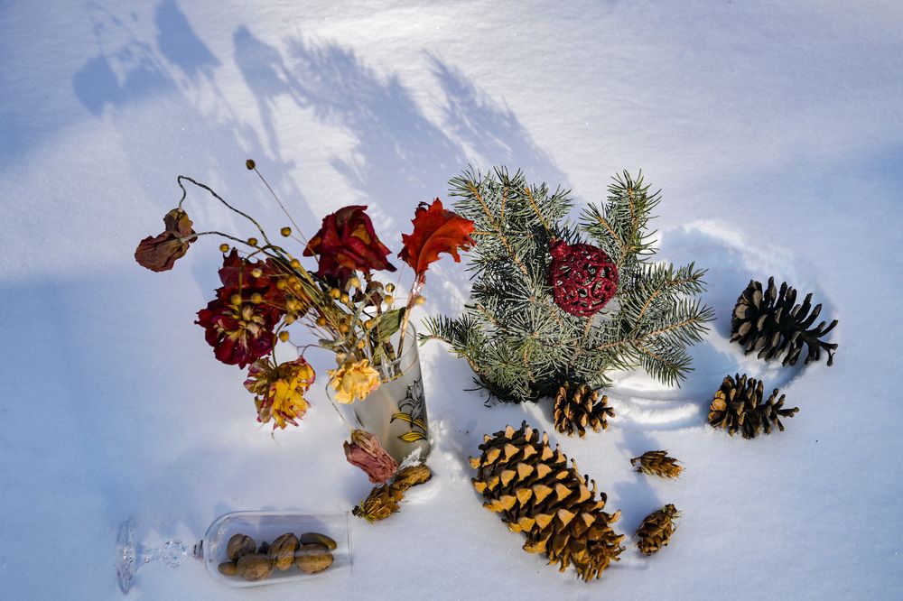 Photograph by Римма Волченко
