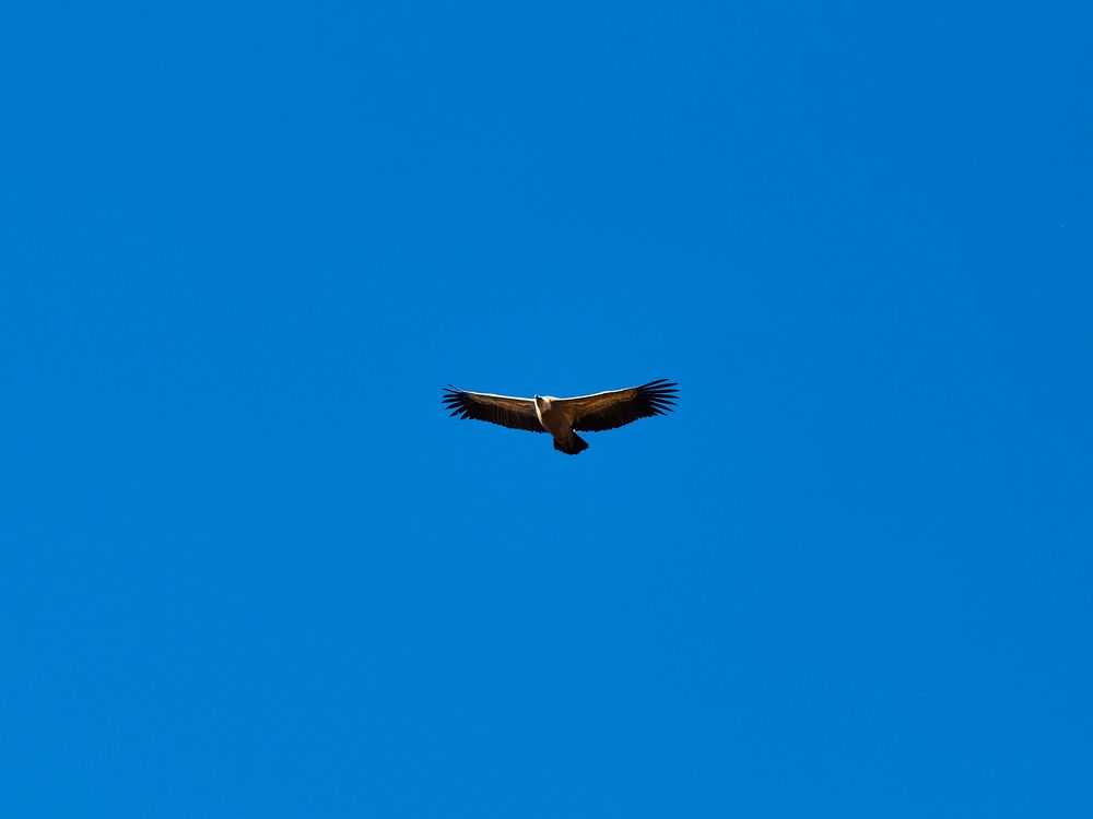 Photograph by Анастасия Васина