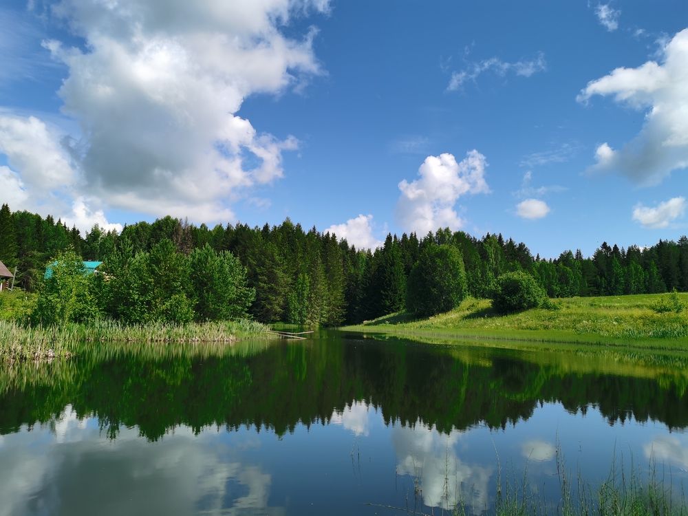 Photograph by Калинина Анастасия