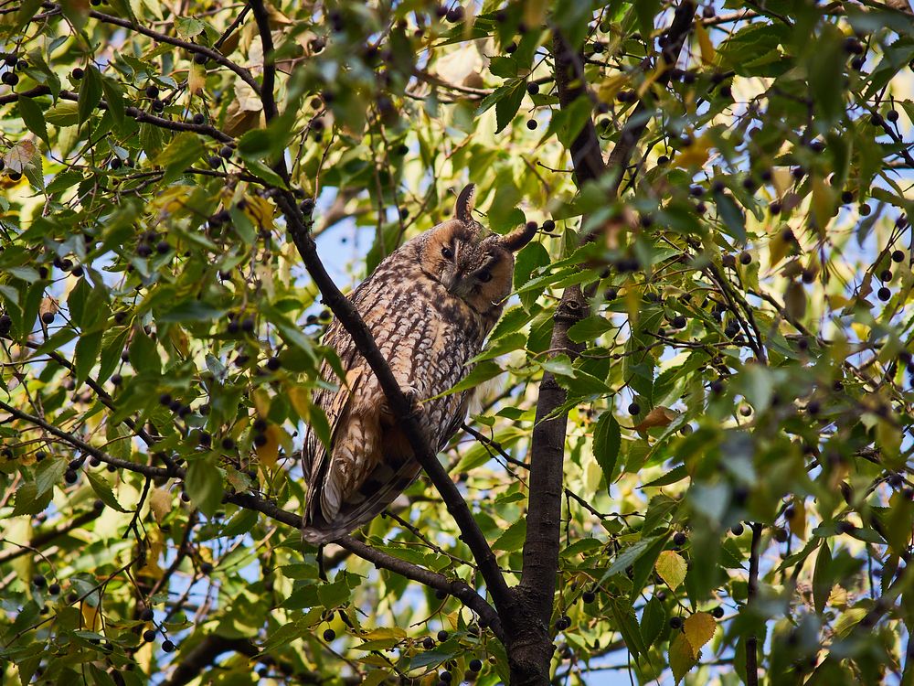 Photograph by Анастасия Васина