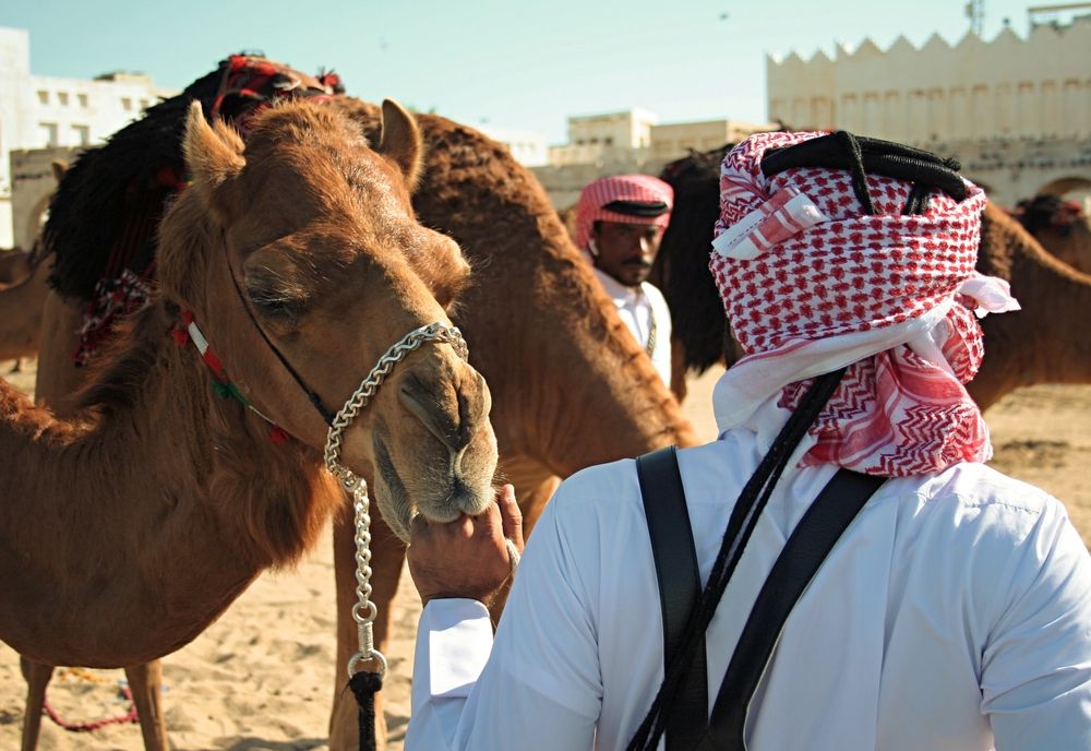 Photograph by Рожнов Кирилл