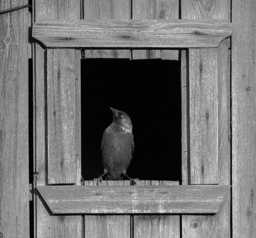 Photograph by Дарья