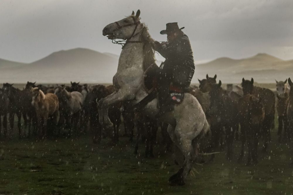 Photograph by hanife yalcin