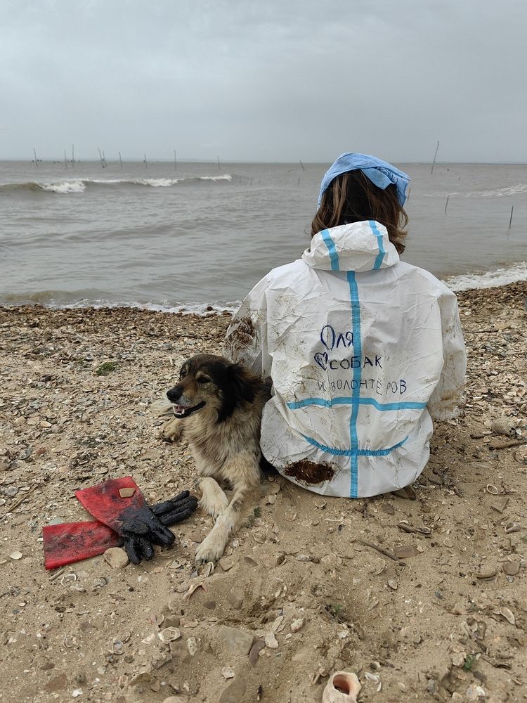 Photograph by Анастасия Кременчугская