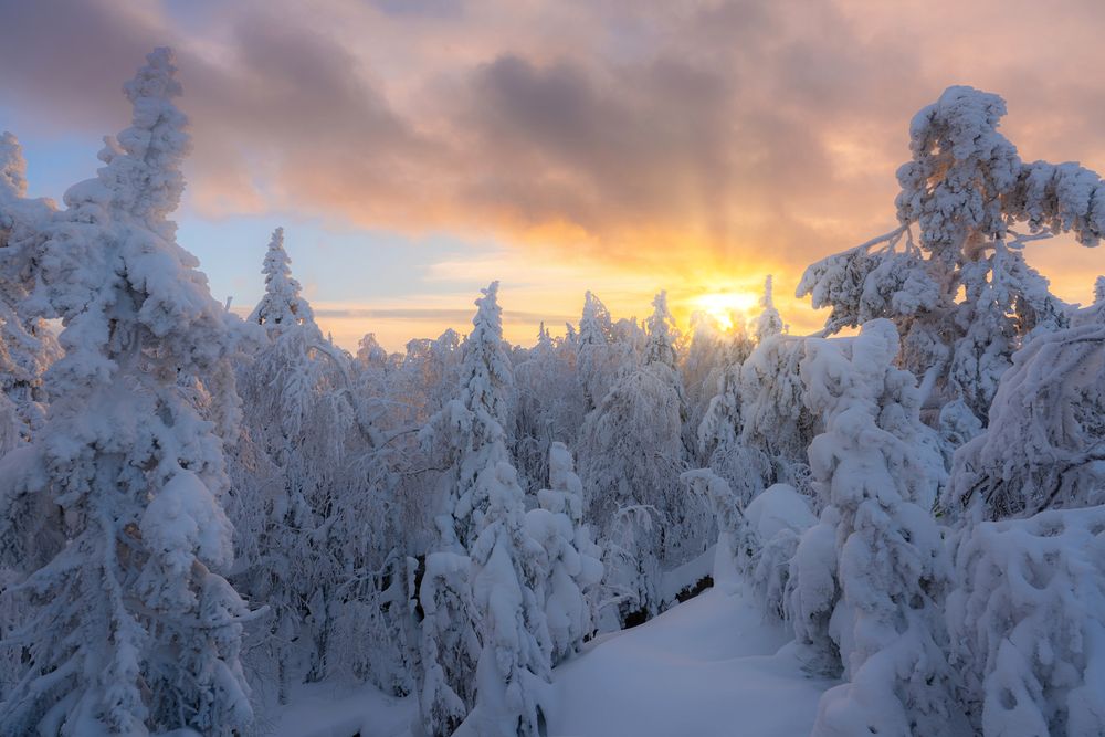 Photograph by Манаков Илья