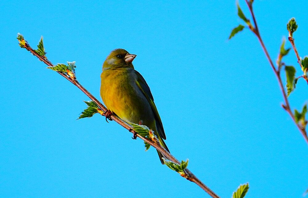 Photograph by Михаил Трусов