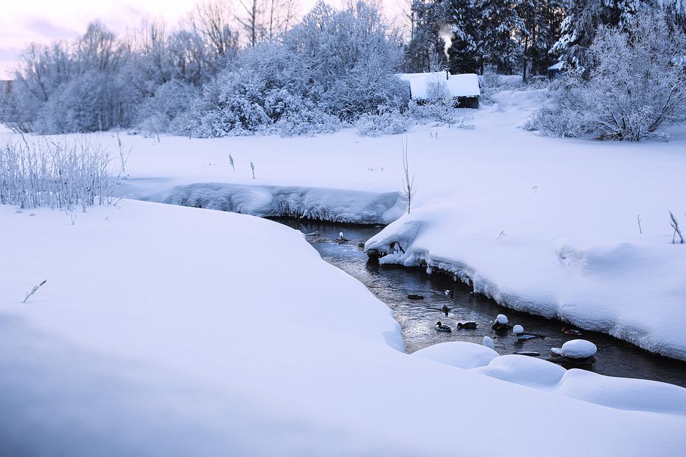 Фотография автора Елена Разина