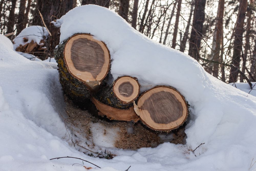 Photograph by Алексей Морозов