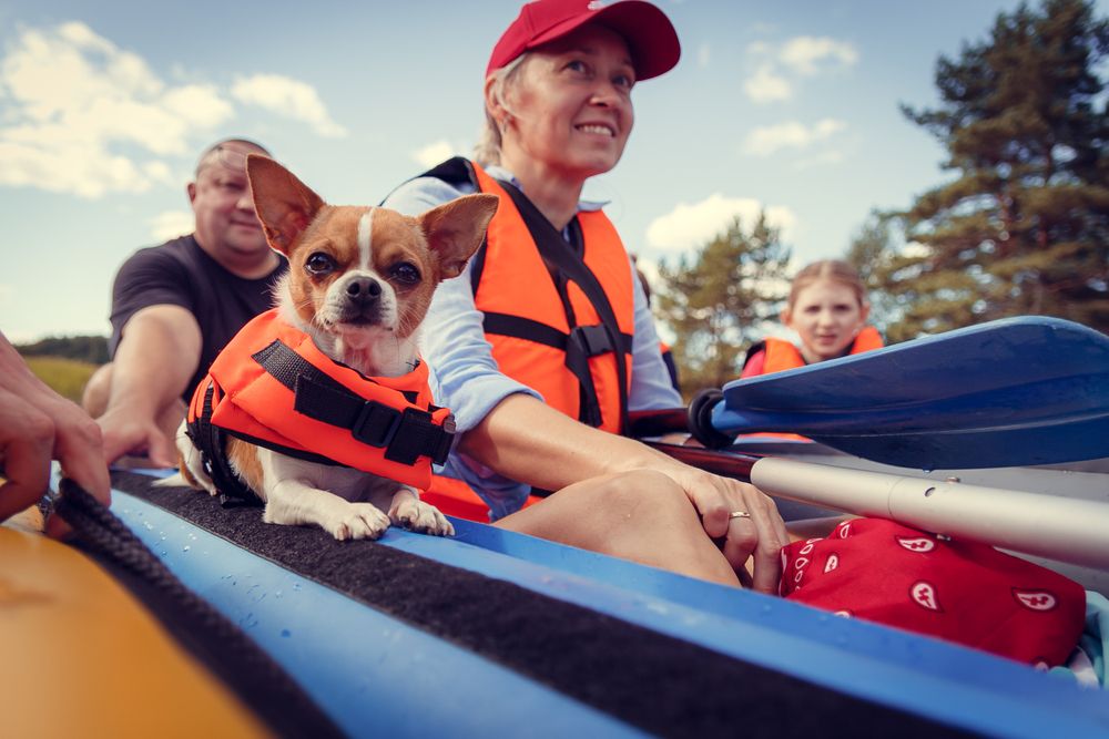 Photograph by Михаил Наволокин