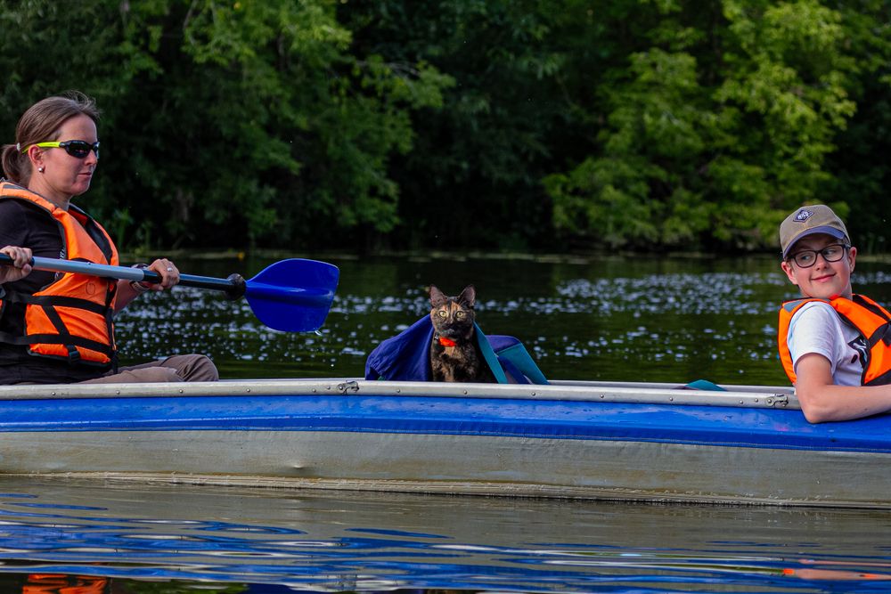 Photograph by Михаил Наволокин