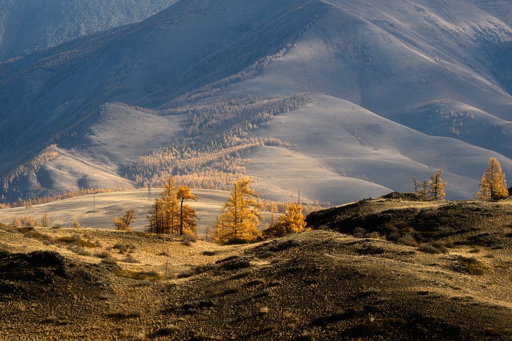Photograph by Юлия Шустерова