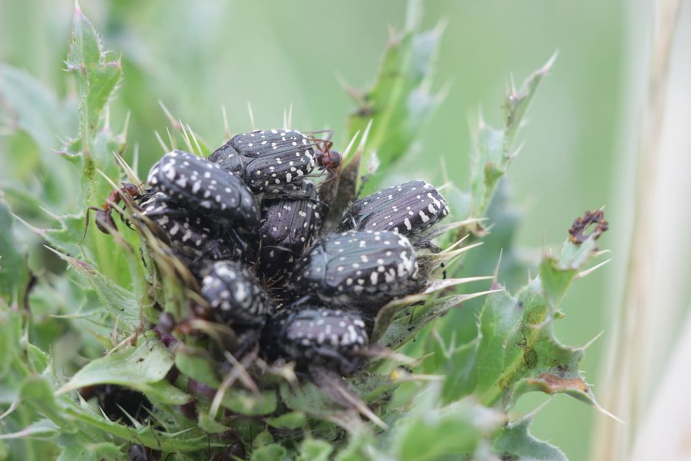 Photograph by Дмитрий Васючков