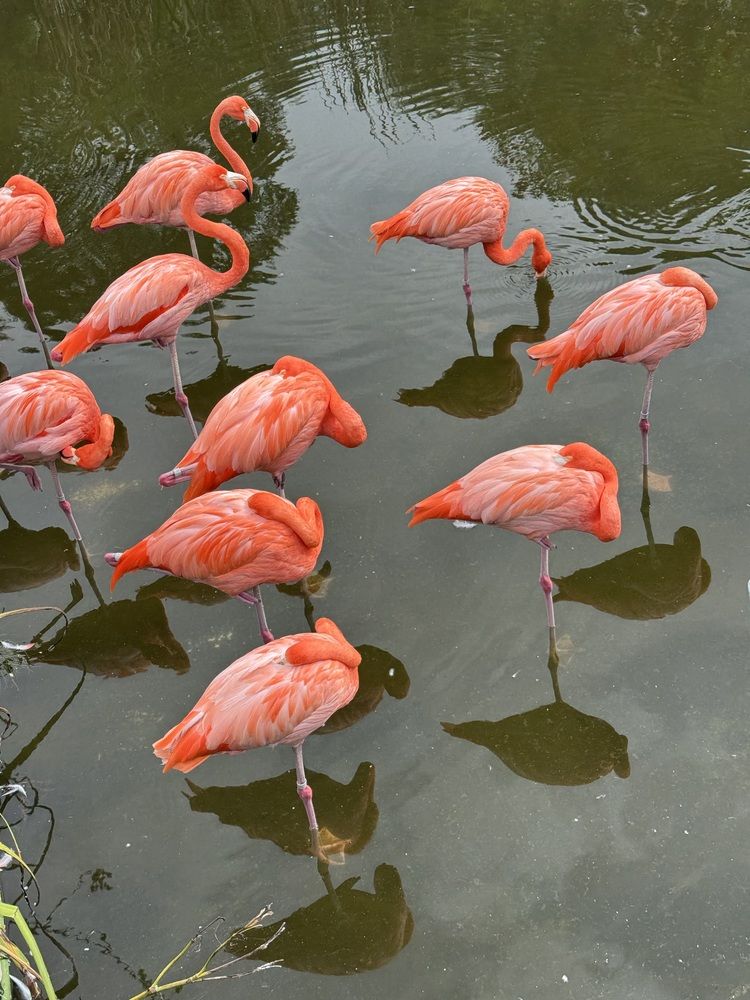 Photograph by Татьяна