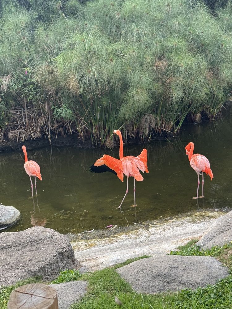 Photograph by Татьяна