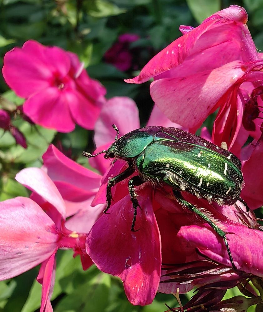Фотография автора Maiya Bulatova