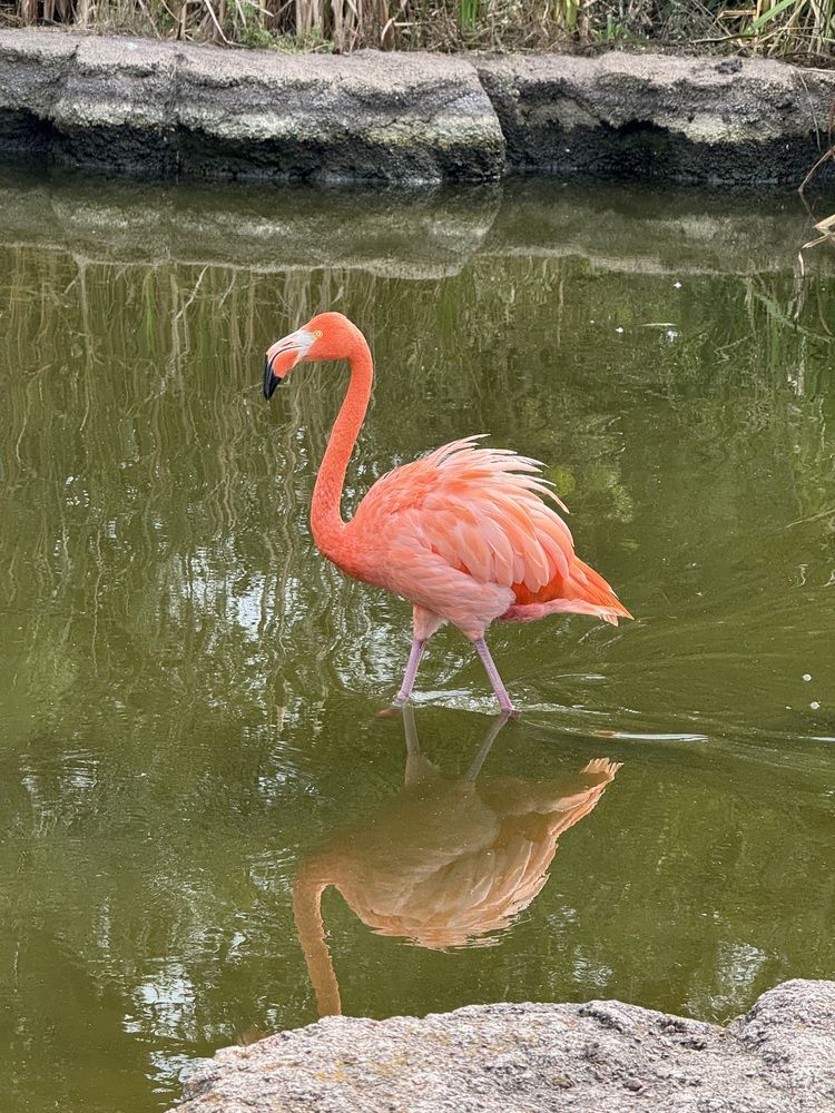 Photograph by Татьяна