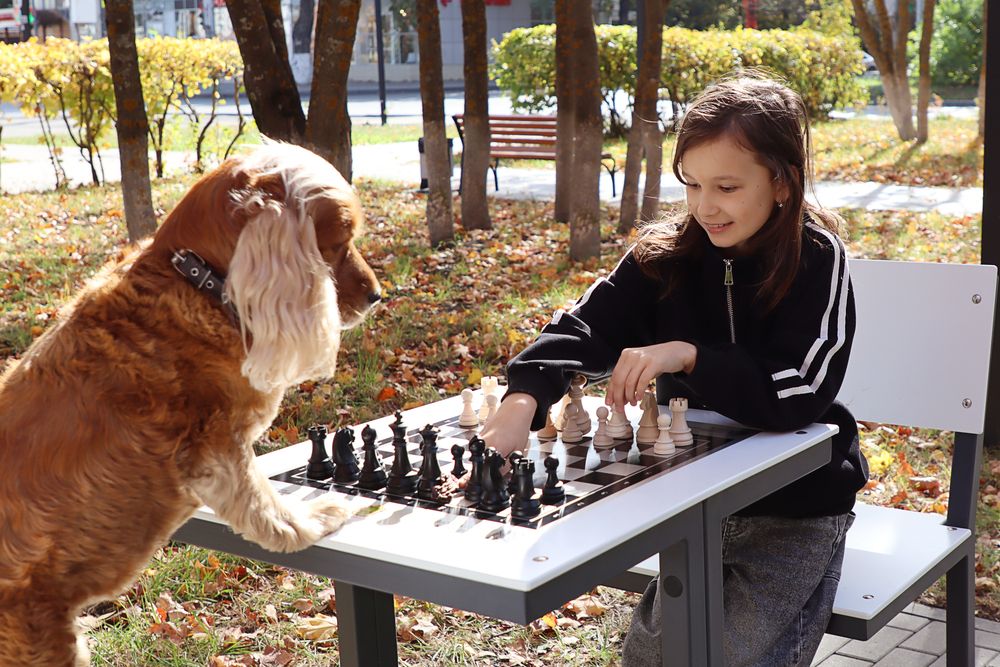 Photograph by Наталья Ильичёва