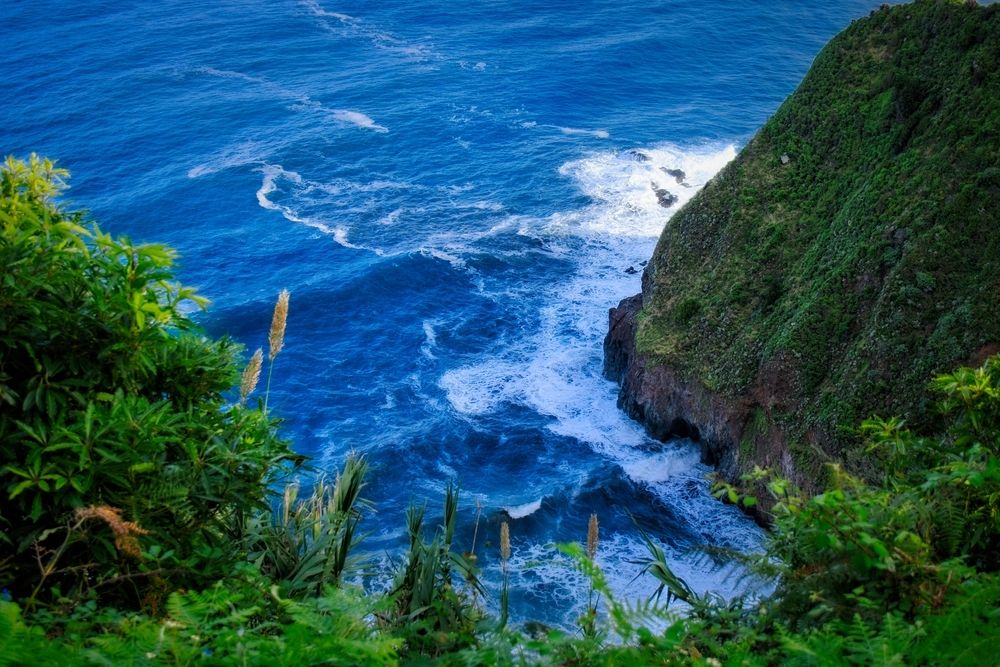 Photograph by Vladimir Chudopalov