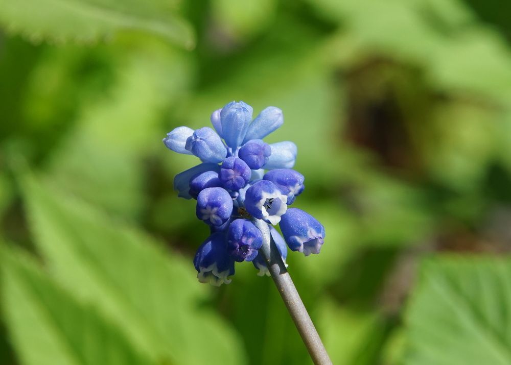 Photograph by сергей мишаков