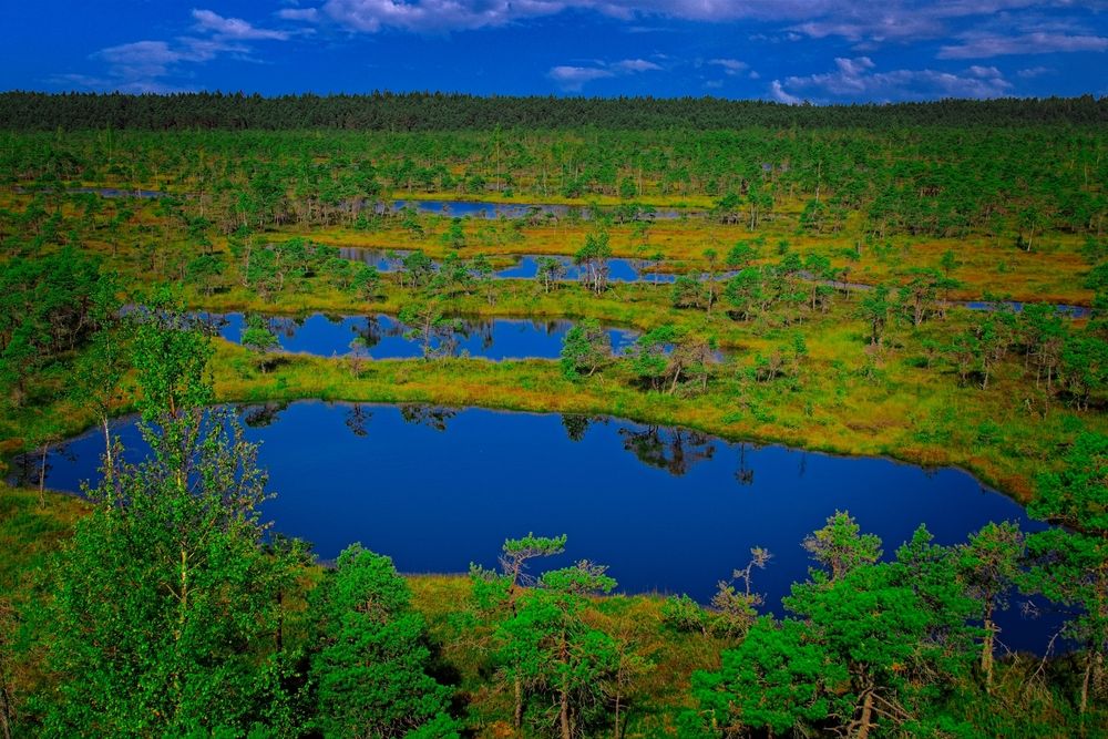 Photograph by Vladimir Chudopalov