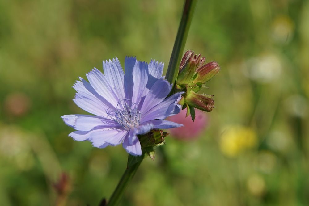 Photograph by сергей мишаков