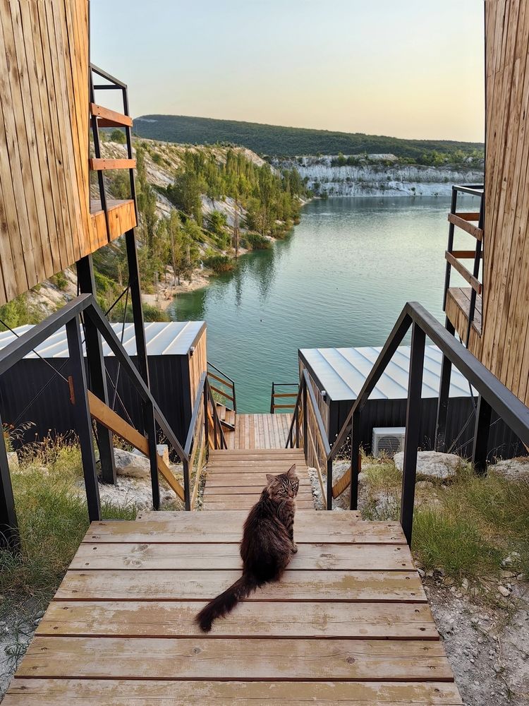 Path to the lake