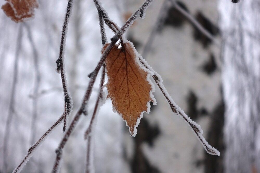 Photograph by Екатерина Зубарева